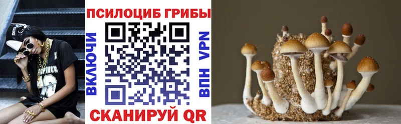 Галлюциногенные грибы мухоморы Калач